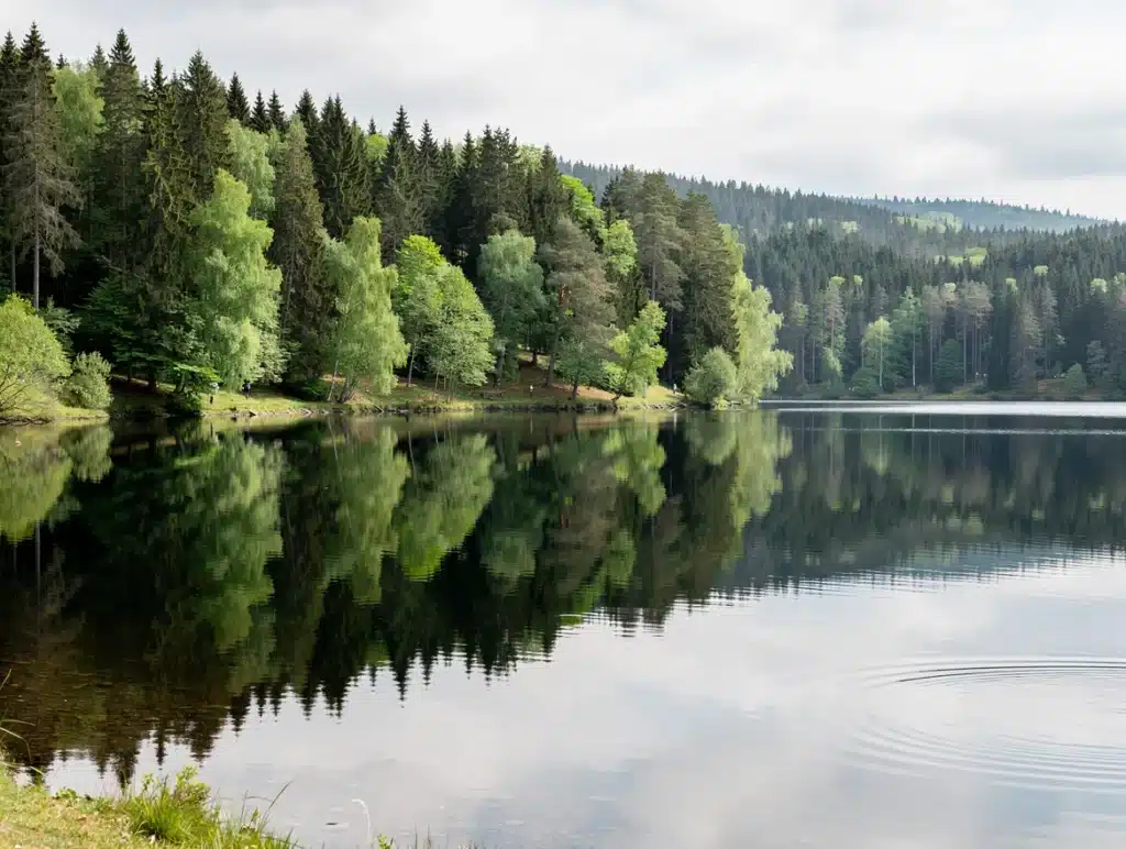 Oderteich Rundweg – älteste Talsperre Deutschlands im Nationalpark Harz