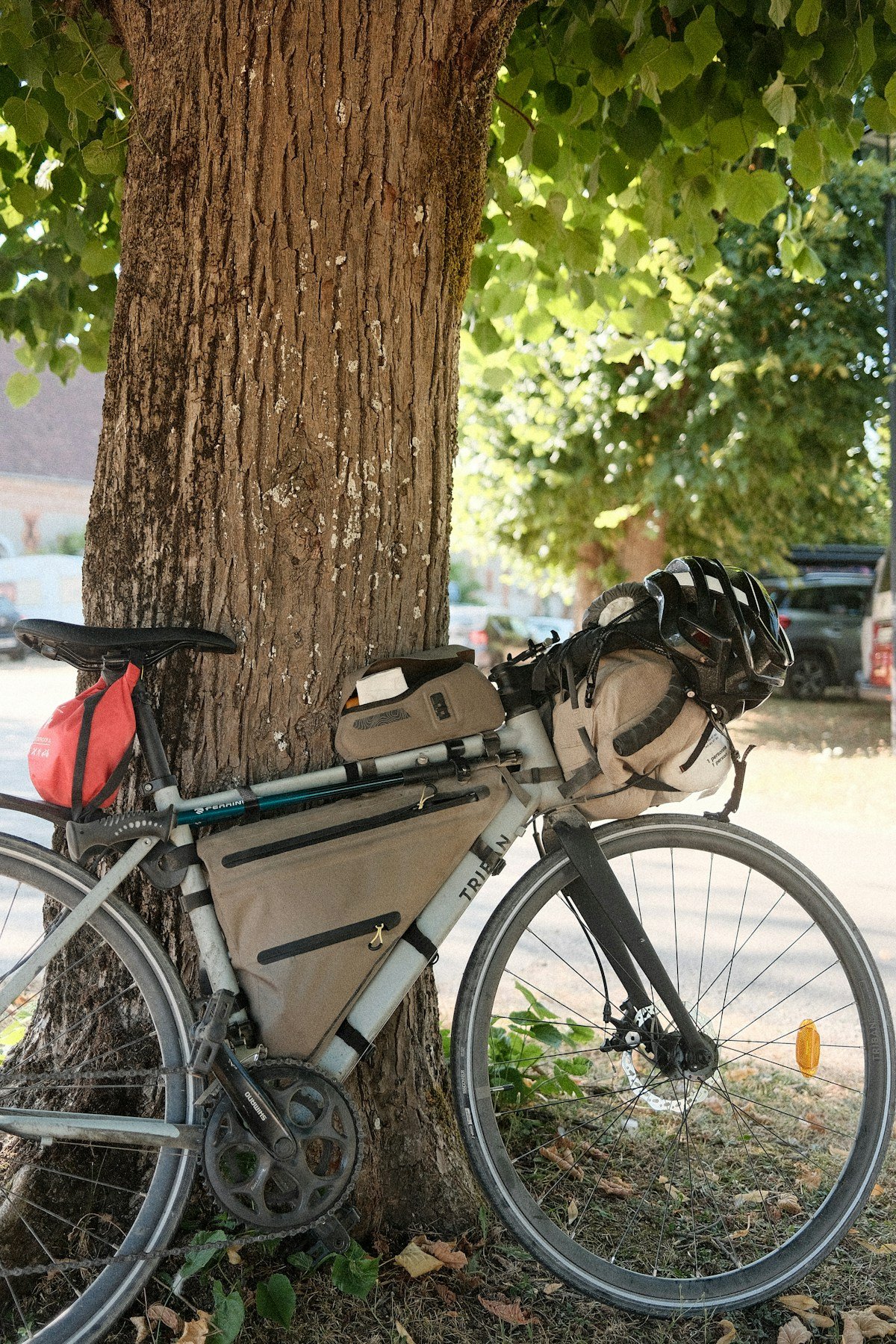 Fahrrad mit Gepäcktaschen an einem Baum auf einer Radtour